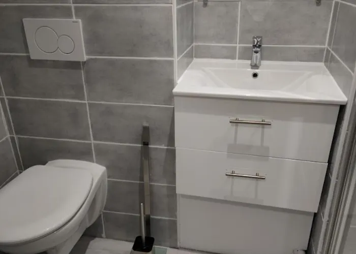 Apartamento Saint Etienne Studio Lot 2 *